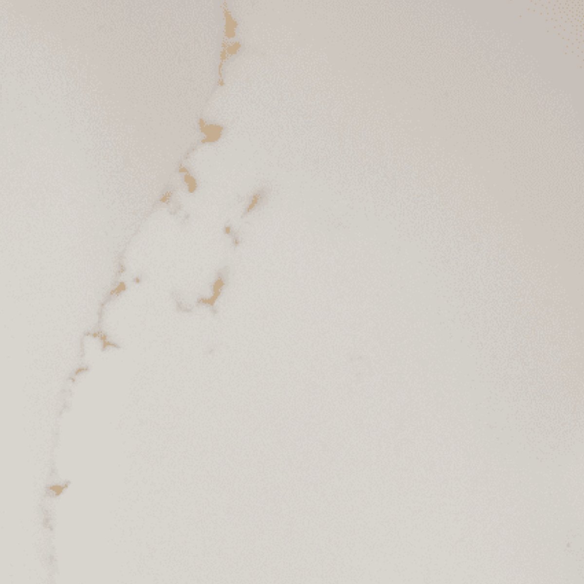 Calcutta Gold - Solid Worksurfaces (CG)