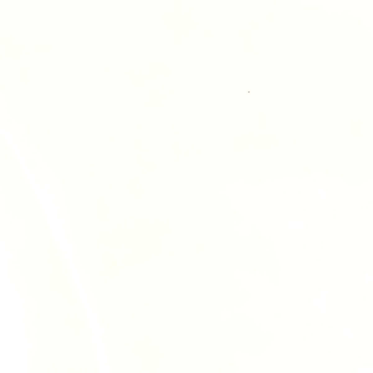 Venaro White