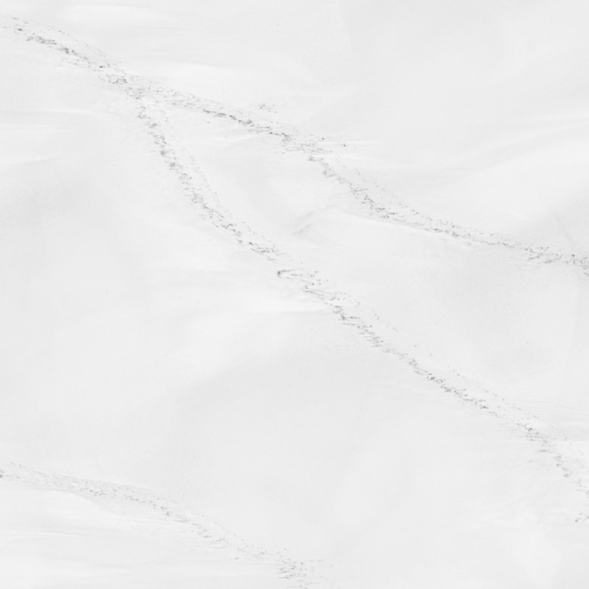 Venato Blanc (4)-small Venato Blanc (4)-small
