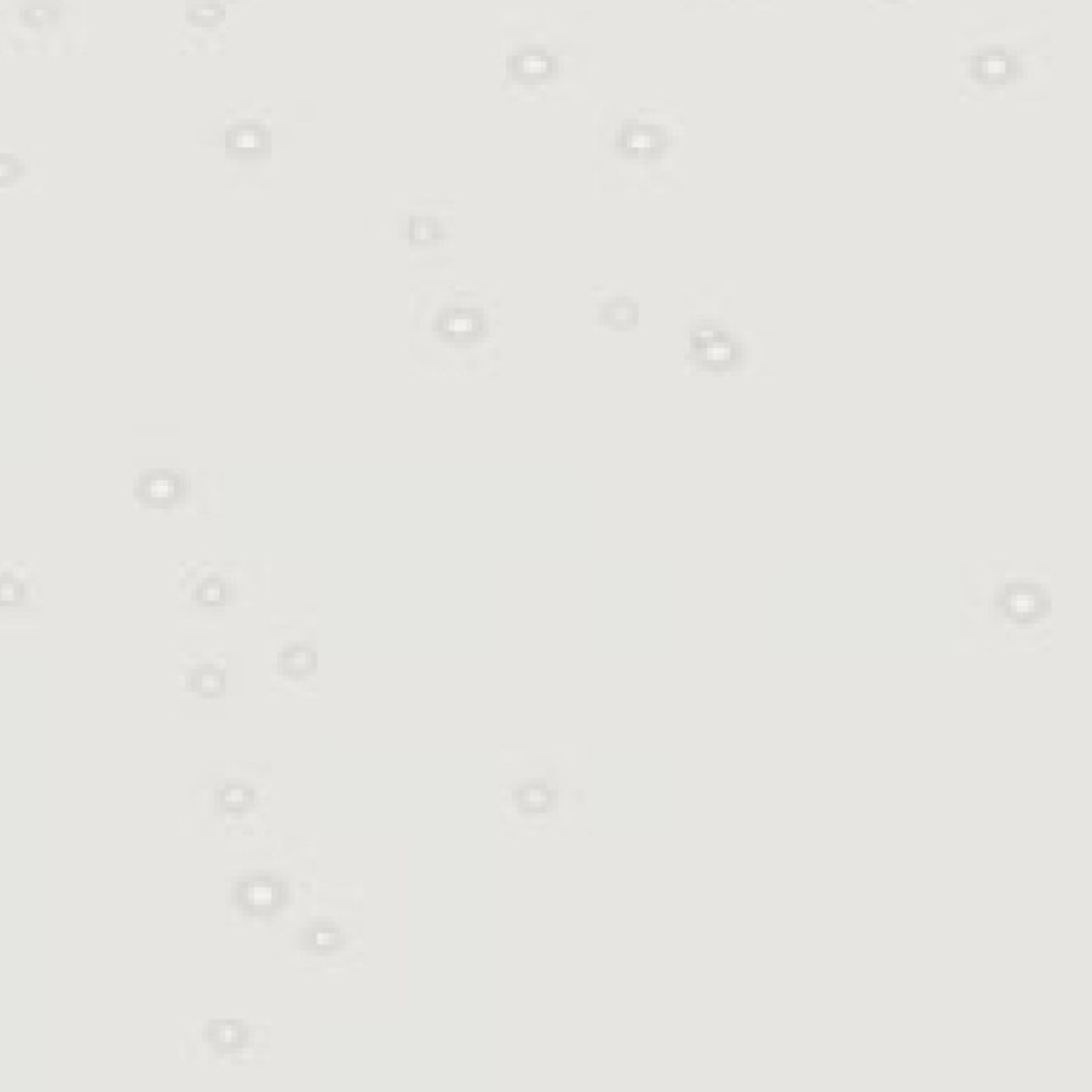 minerva® Sparkling White SW jpg minerva® Sparkling White SW jpg