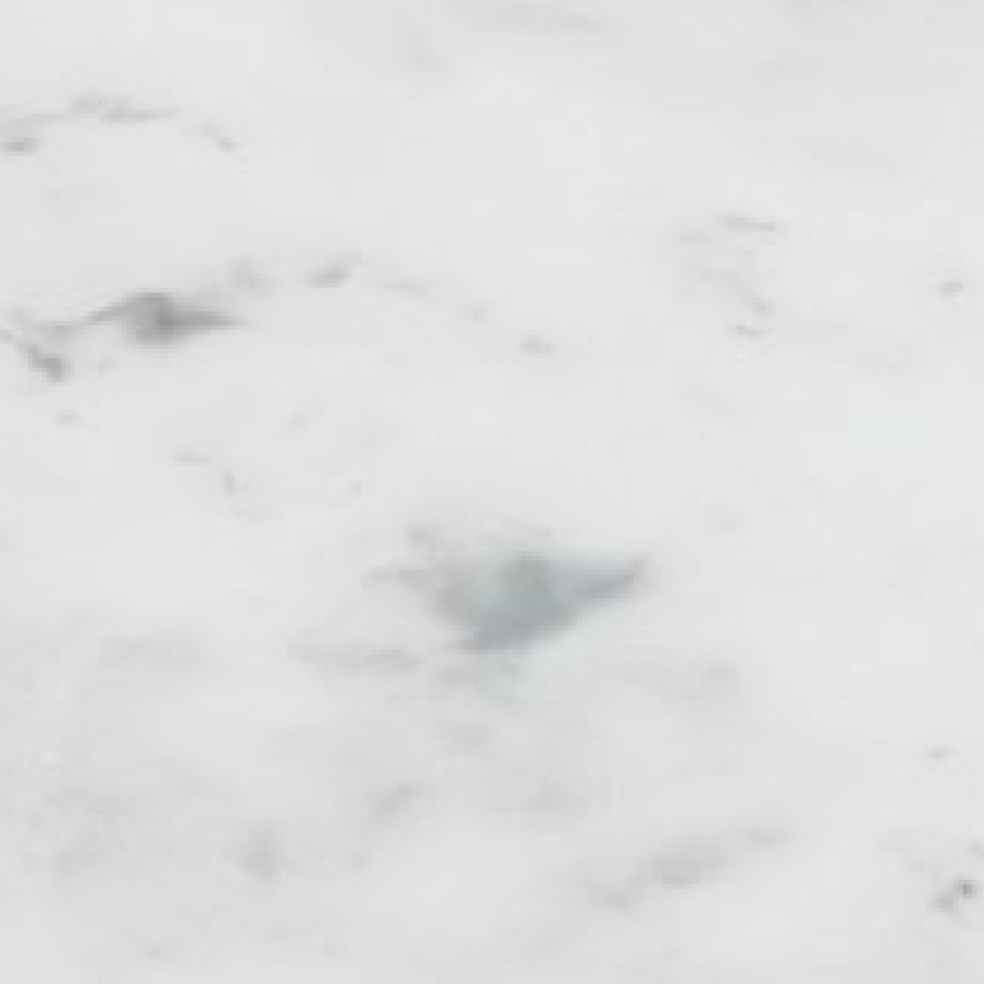 minerva® Carrara White CA Veined decor jpg minerva® Carrara White CA Veined decor jpg