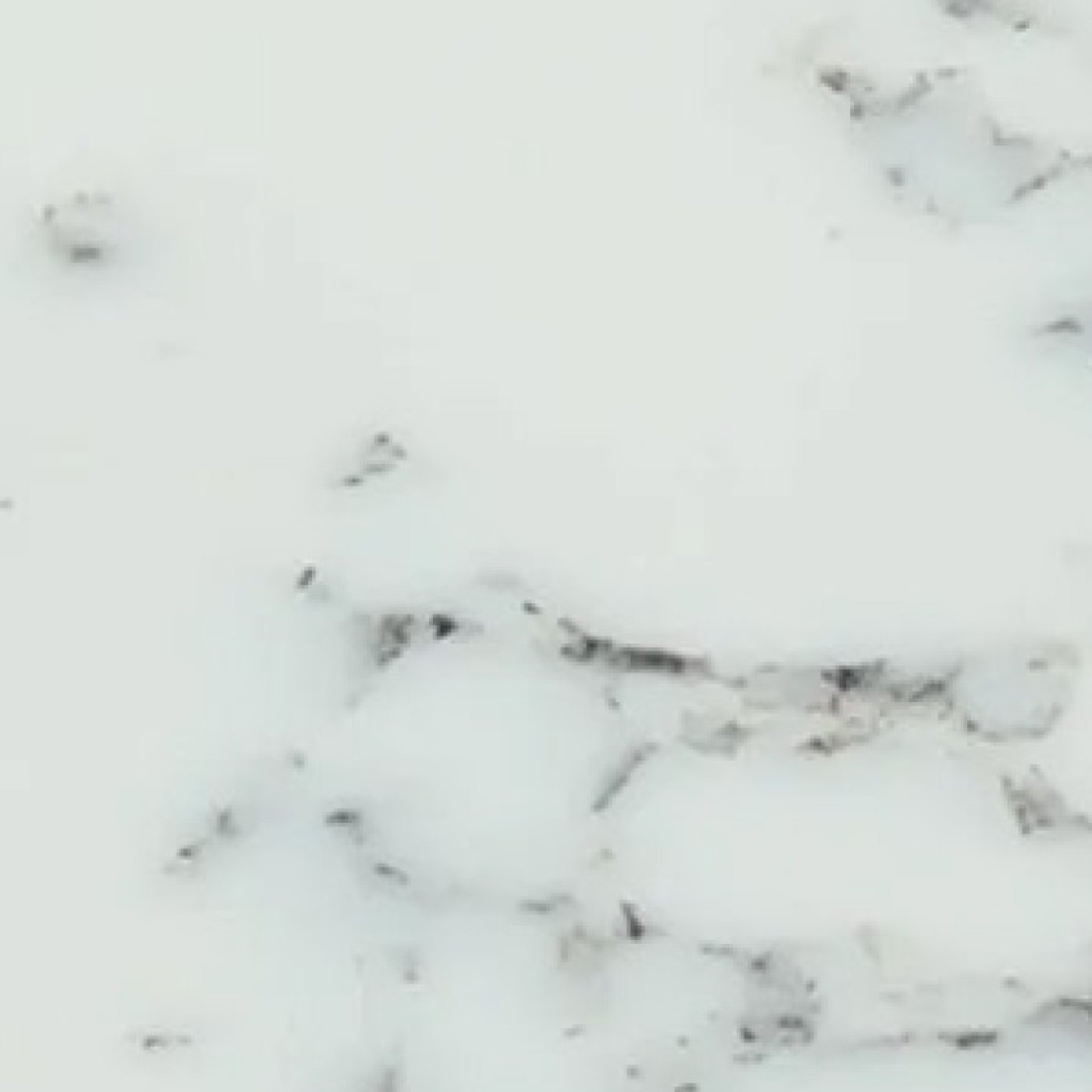 Blue Venato - Solid Worksurfaces (BV)